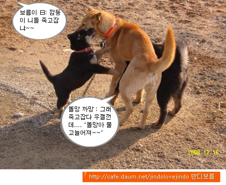 깜댕이 이미지