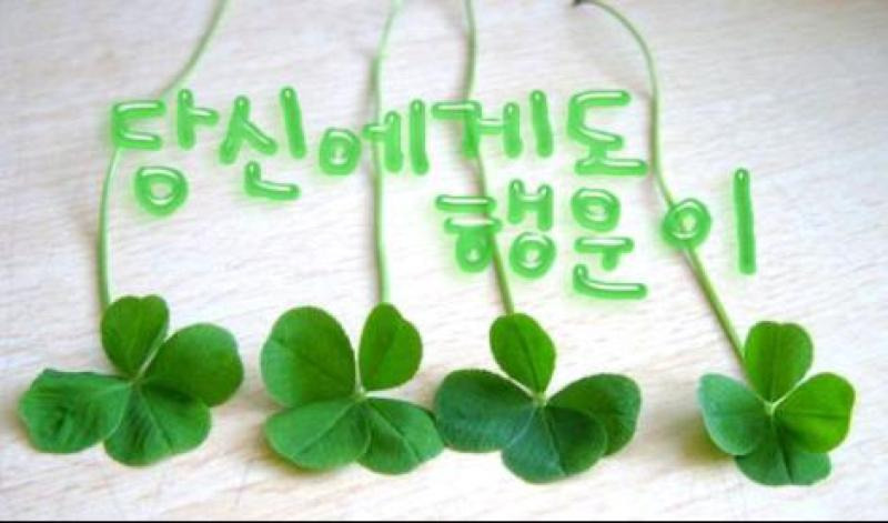 수려 이미지