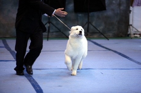 BestofBest 이미지
